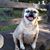Cindy Scott's profile image