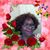 Rosanna Brown's profile image