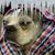 Evie Keefe Mattes's profile image