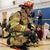 Nick Scifo Sr.'s profile image