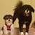 Diane Zeman Fanelle's profile image