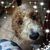 Lisa White Kiddy's profile image