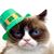 John Dugener's profile image