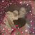 Gail Mcvietty's profile image