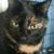Milly Crothers's profile image