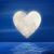 Diane Falzarano Gillespie's profile image