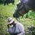 Kelly Jewett's profile image