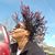 Linda StarLt-Lumpkin Lloyd's profile image
