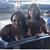 Rhonda Buffy Coffman's profile image