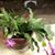 Sheryl Miller's profile image