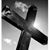 Nancy Black Heath's profile image