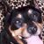 Paulette Sample's profile image