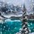 Karen Stevens Flores's profile image