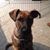 Vicki Srogoncik's profile image