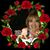 Marisa Rankin's profile image
