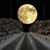 Heather Rutter Walters's profile image