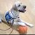 Karen Minson's profile image