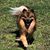 Jean Rawson's profile image