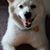 Robyne Ackerson Moyes's profile image