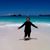 Louise Ann Williams's profile image