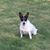 Gail Brackin-Lowery's profile image