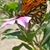 Jeanna N Glenn Ballard's profile image