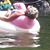 Amy Mailloux's profile image