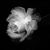 Glendy Pineda's profile image