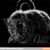 Anissa Dille's profile image