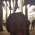 Shantrice B.'s profile image