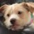 Sara Schultz's profile image