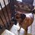 Lola MacDonald's profile image