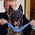 Pam Jones's profile image