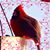 Joy A. Engle's profile image