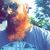 Cole Steel's profile image