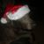 Rex Rae Wickersham's profile image