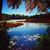Susan Beth's profile image