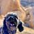 Claudia Monge's profile image