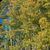 Nena Castallon's profile image