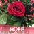Ellen Wolf's profile image