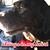 Cyndi Wilson's profile image