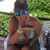 Gina Spyropoulos's profile image