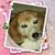 Robin Strehl Farnell's profile image