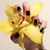Renee Rawls's profile image