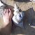 Pamela Edens's profile image