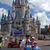 Lesley Ellis Galle's profile image