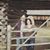 Nicole Duney-Berngen's profile image