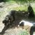 Ramita Rozas's profile image
