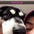 Adolfo Isidoro's profile image