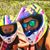 Kathryn L. Nichol's profile image